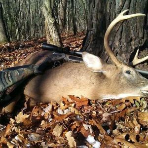 Meet your Posher, Greg